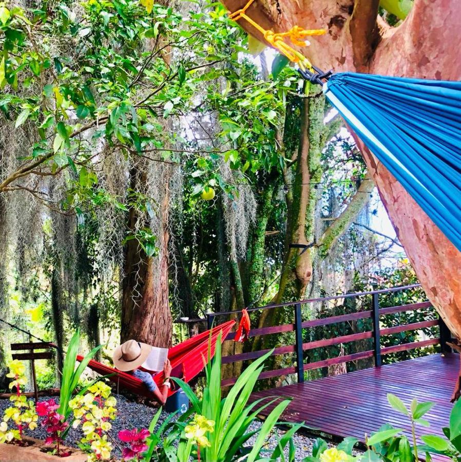 לינה וארוחת בוקר מדיין Eco Hostal Casa La Juana מראה חיצוני תמונה