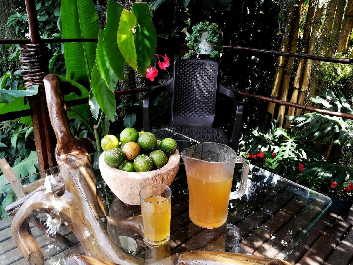 לינה וארוחת בוקר מדיין Eco Hostal Casa La Juana מראה חיצוני תמונה