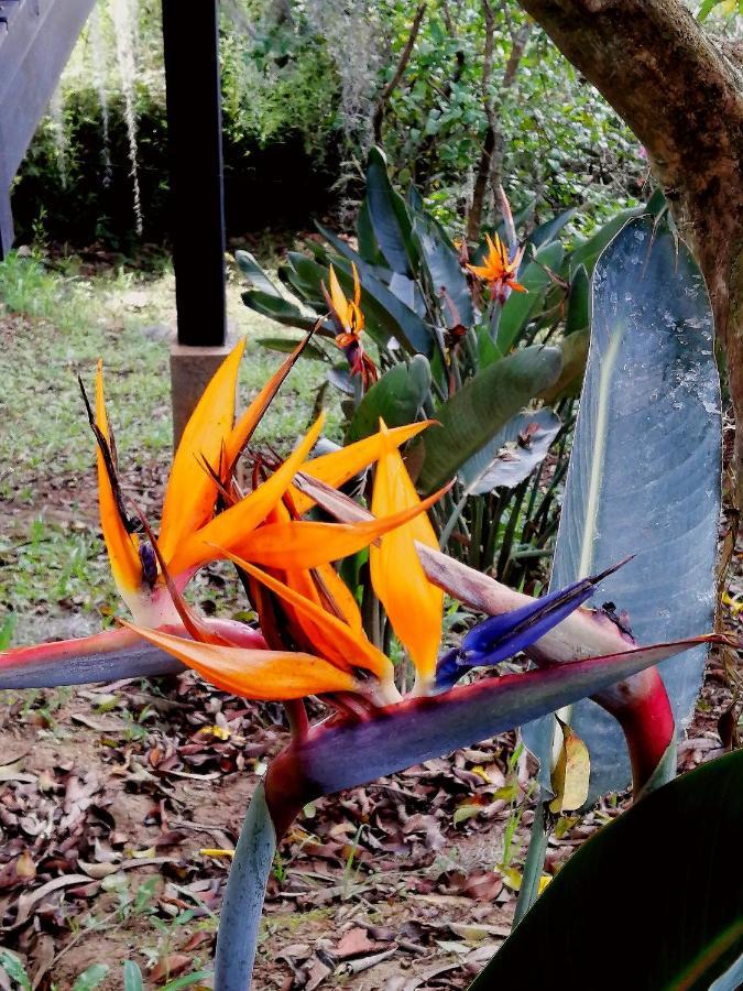 לינה וארוחת בוקר מדיין Eco Hostal Casa La Juana מראה חיצוני תמונה