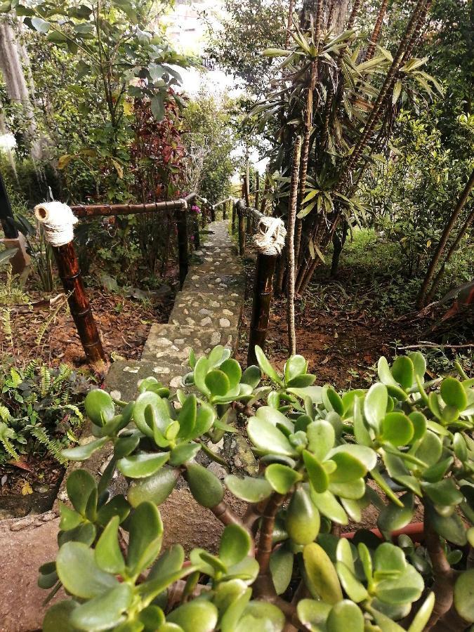 לינה וארוחת בוקר מדיין Eco Hostal Casa La Juana מראה חיצוני תמונה