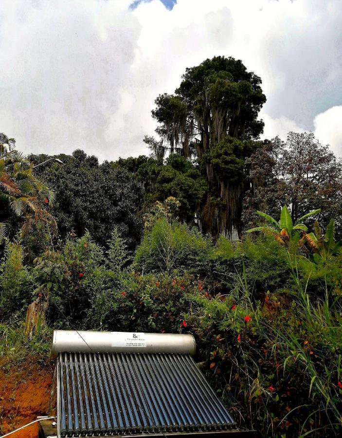 לינה וארוחת בוקר מדיין Eco Hostal Casa La Juana מראה חיצוני תמונה