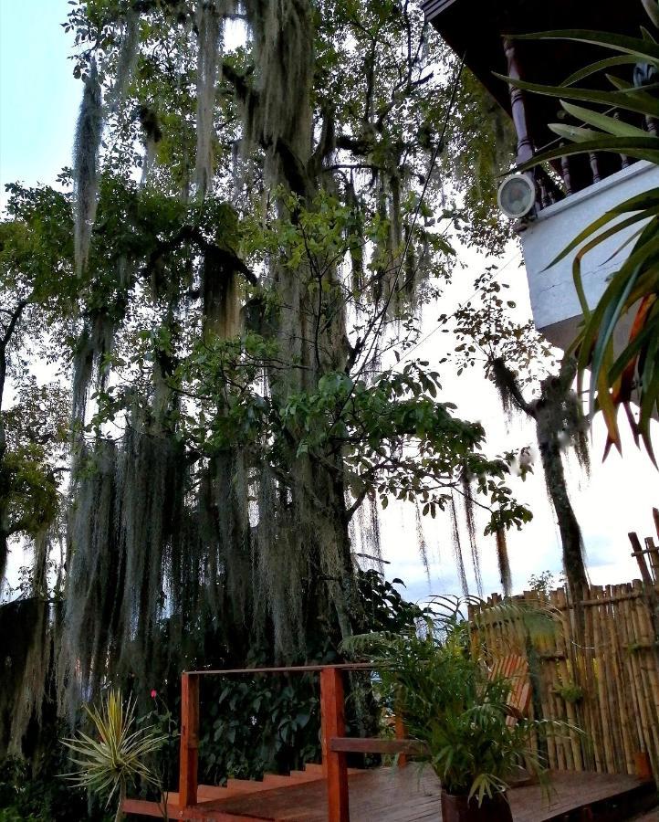 לינה וארוחת בוקר מדיין Eco Hostal Casa La Juana מראה חיצוני תמונה