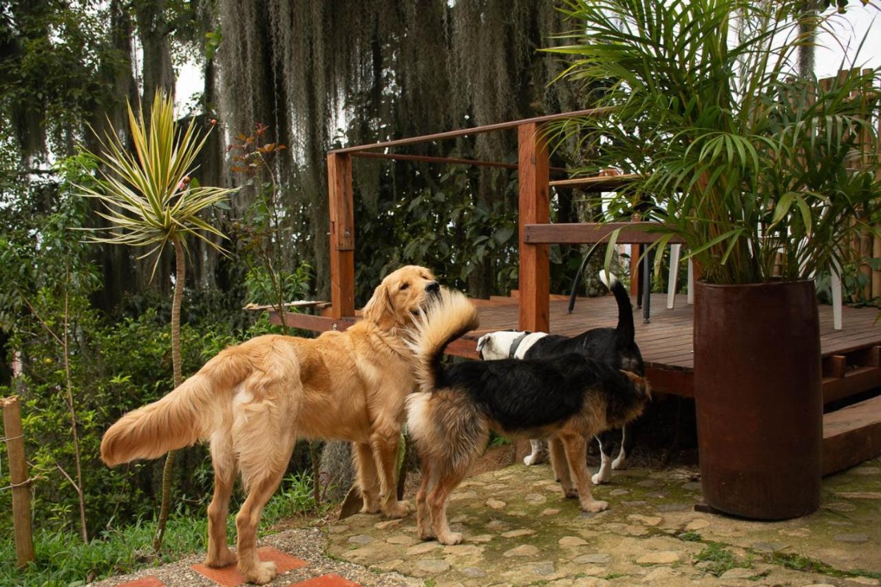 לינה וארוחת בוקר מדיין Eco Hostal Casa La Juana מראה חיצוני תמונה