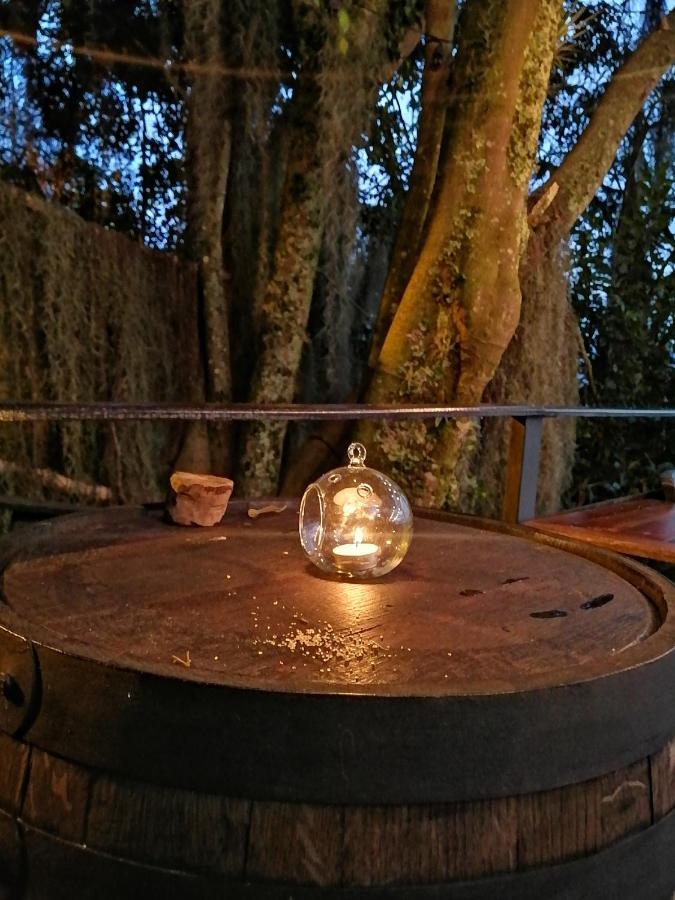לינה וארוחת בוקר מדיין Eco Hostal Casa La Juana מראה חיצוני תמונה