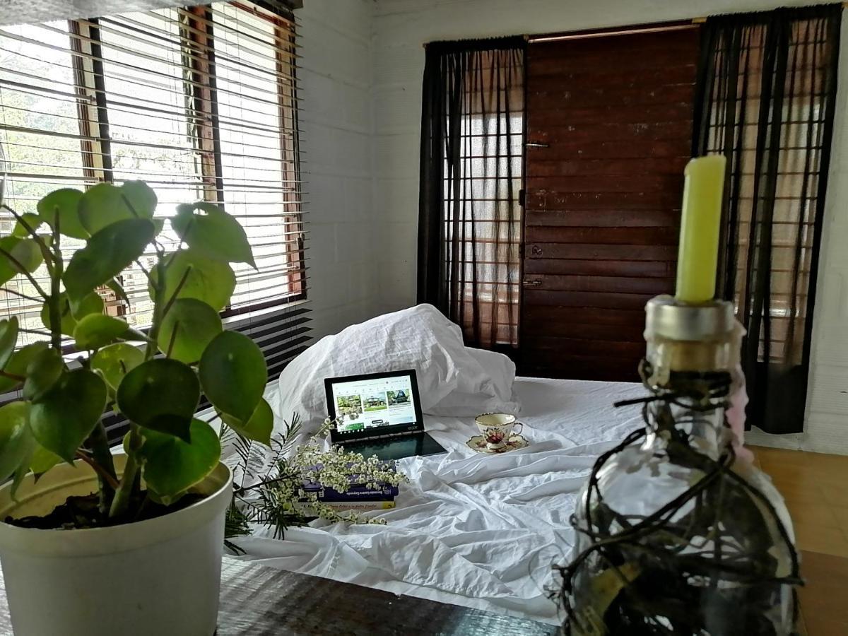 לינה וארוחת בוקר מדיין Eco Hostal Casa La Juana מראה חיצוני תמונה